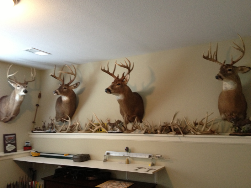 image 2049915707