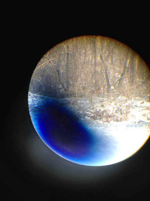 image 2363071181