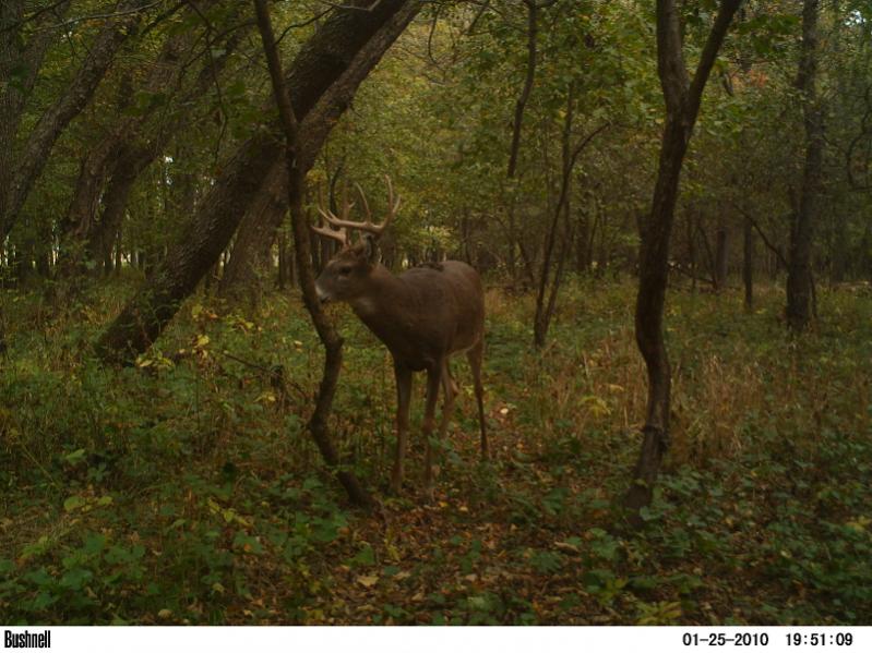 image 299668333