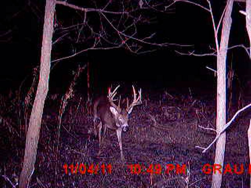 image 3228435705