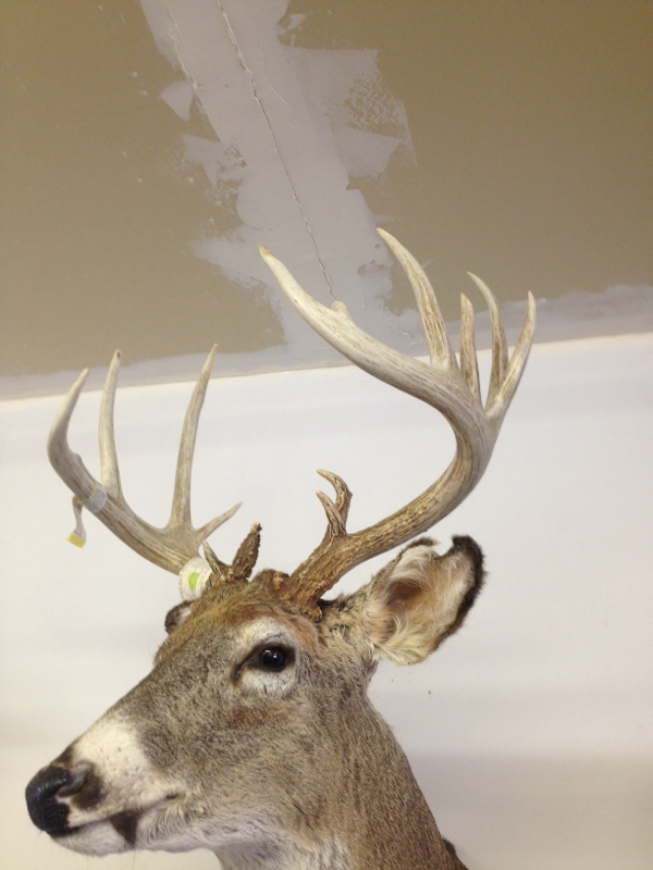 image 3400588486