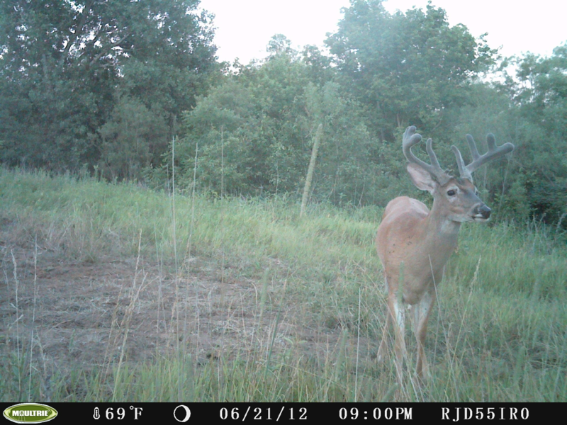 image 3542012058