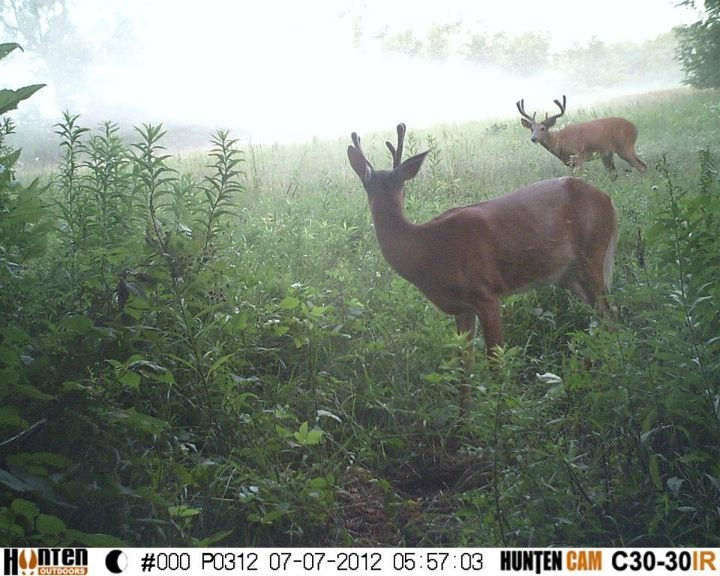 image 3644960792