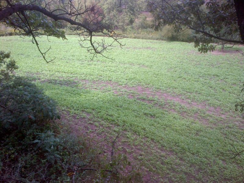 image 3839507963