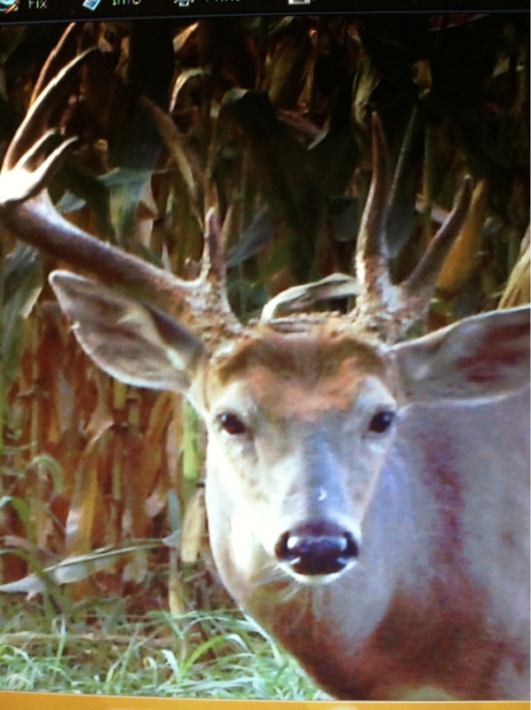 image 406764315