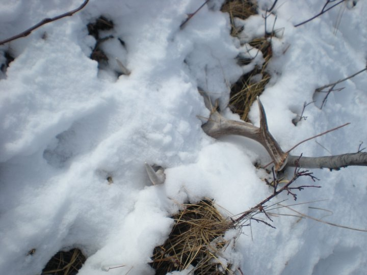 image 4173026837