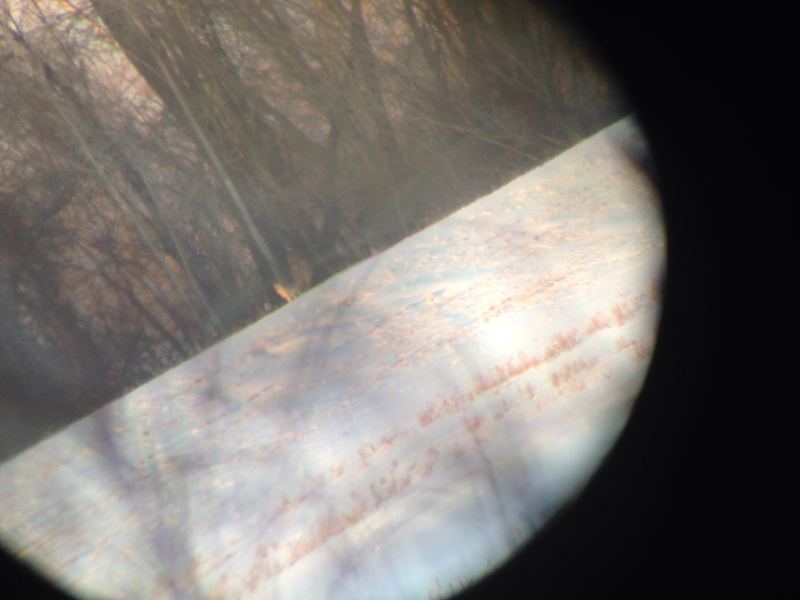 image 4215412465