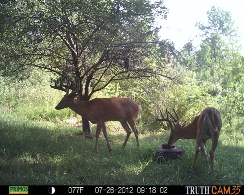 image 671836941