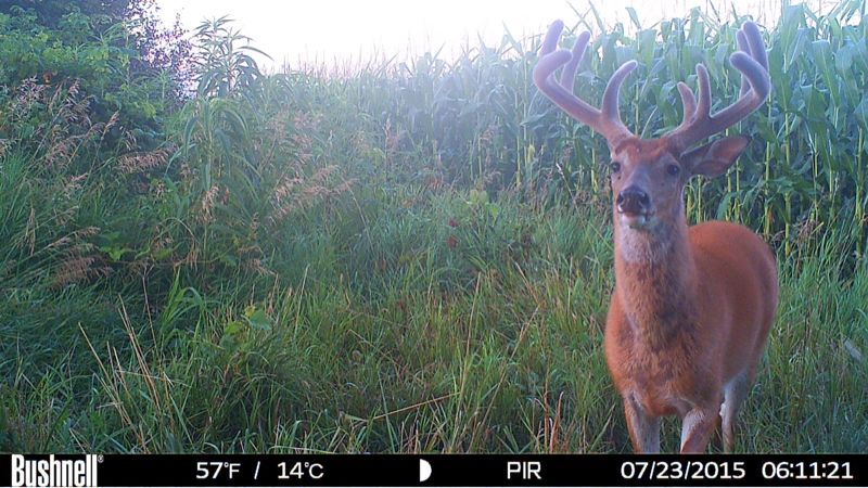 image 806021134