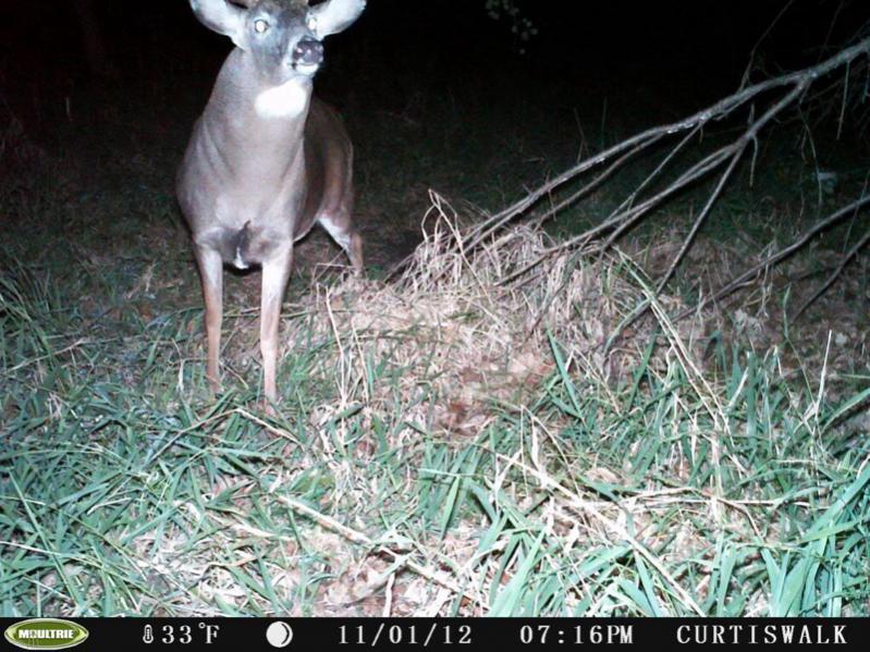 image 922396600