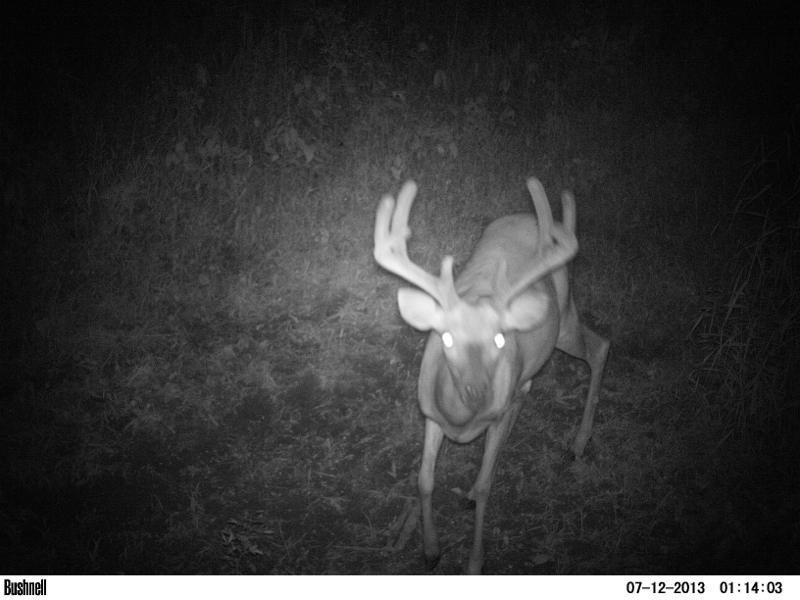 image 99674158