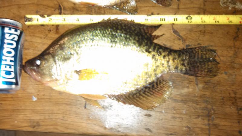 IMG 20121226 170039 618
