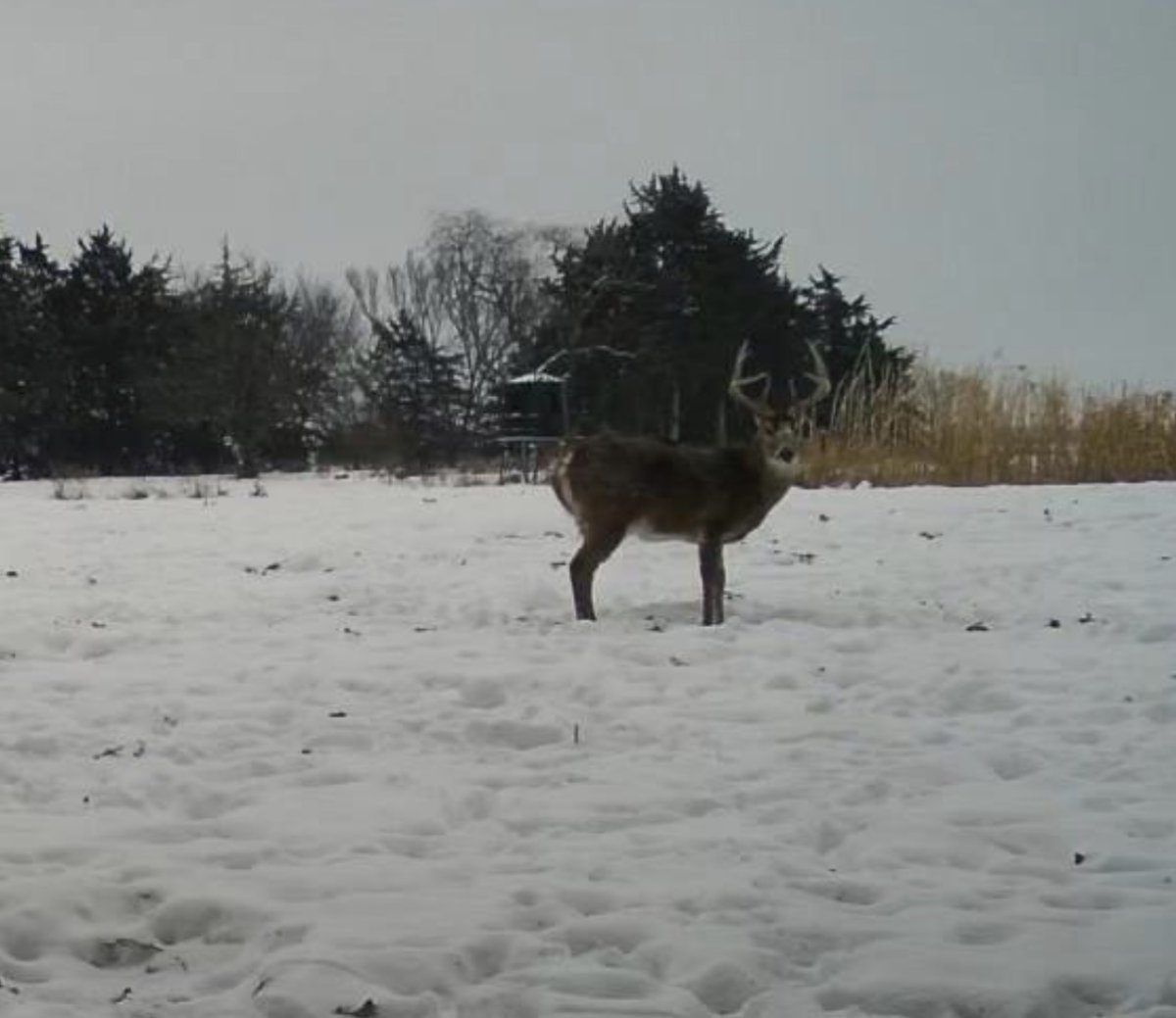 IMG_0112.jpeg