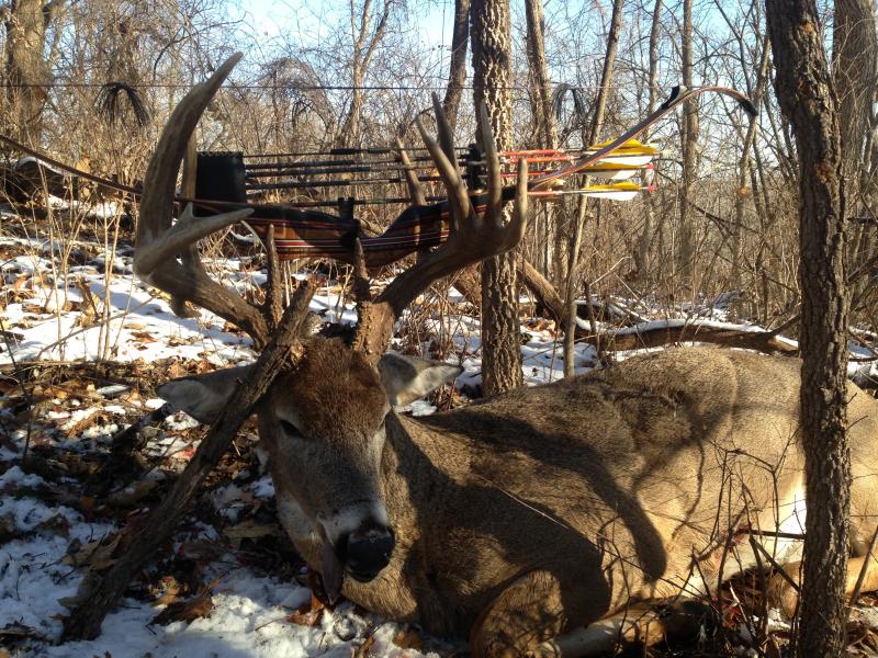 IPHONE GB BUCK MISC 185