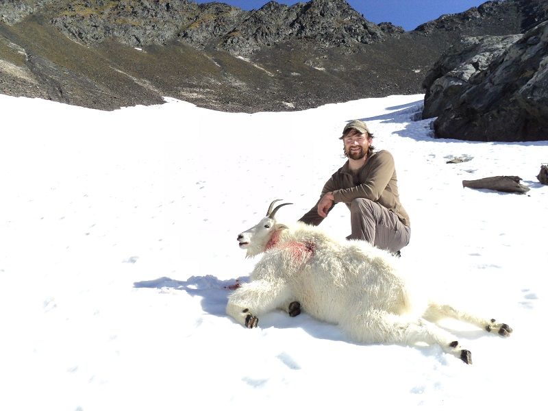 Kodiak Island Goat