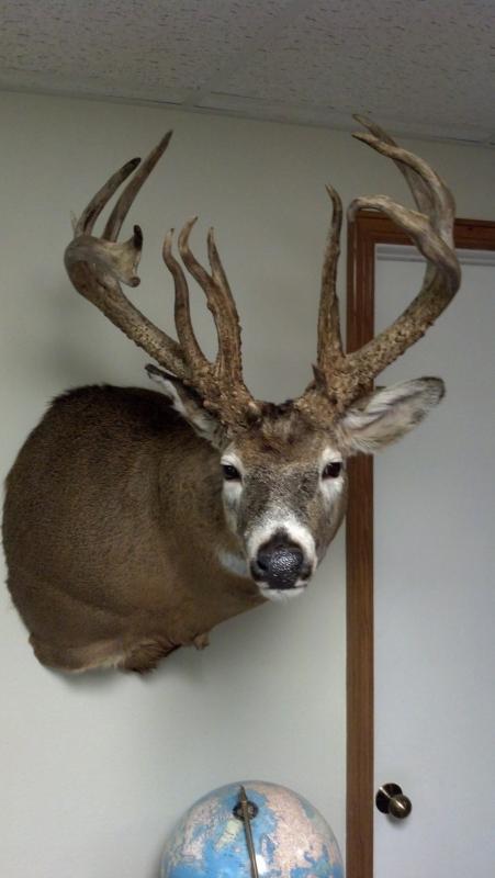 Krall's mount 2
