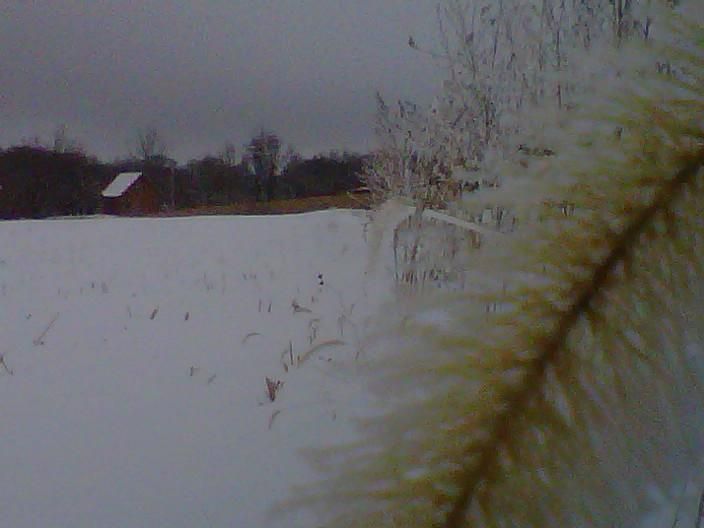Late Muzzy Hunt