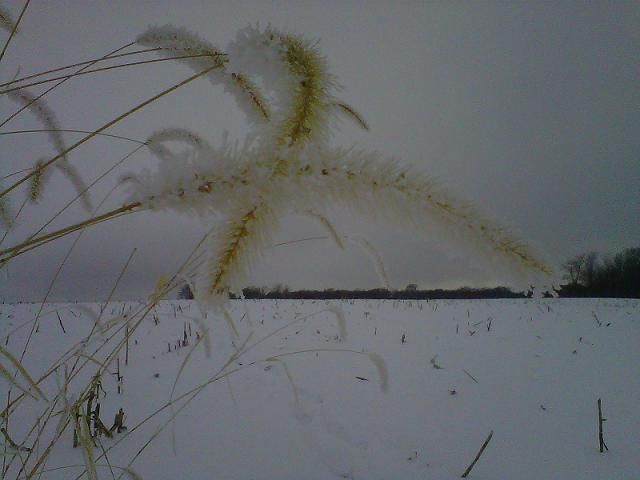 Late Muzzy Hunt