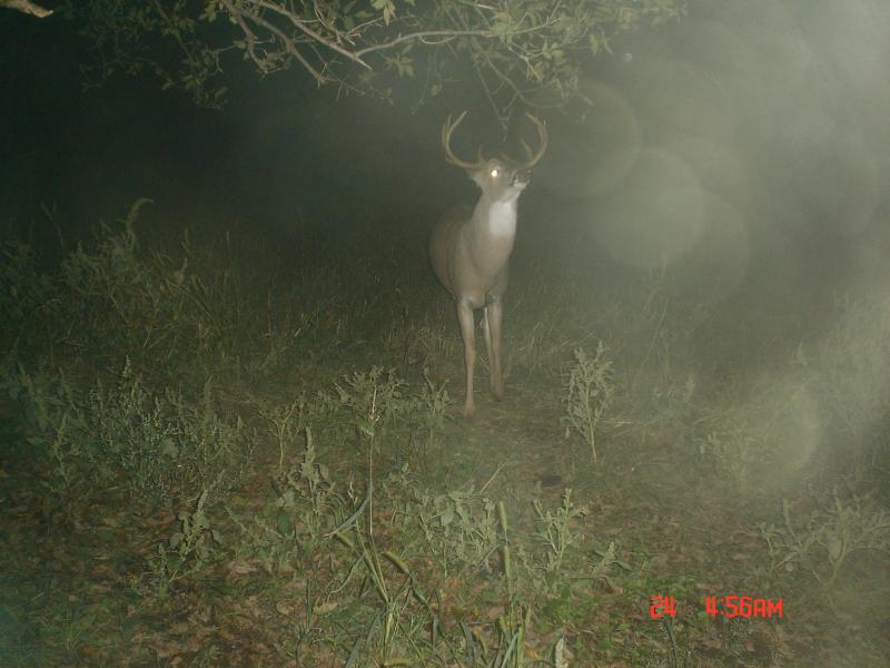 late september scrape, east property 033