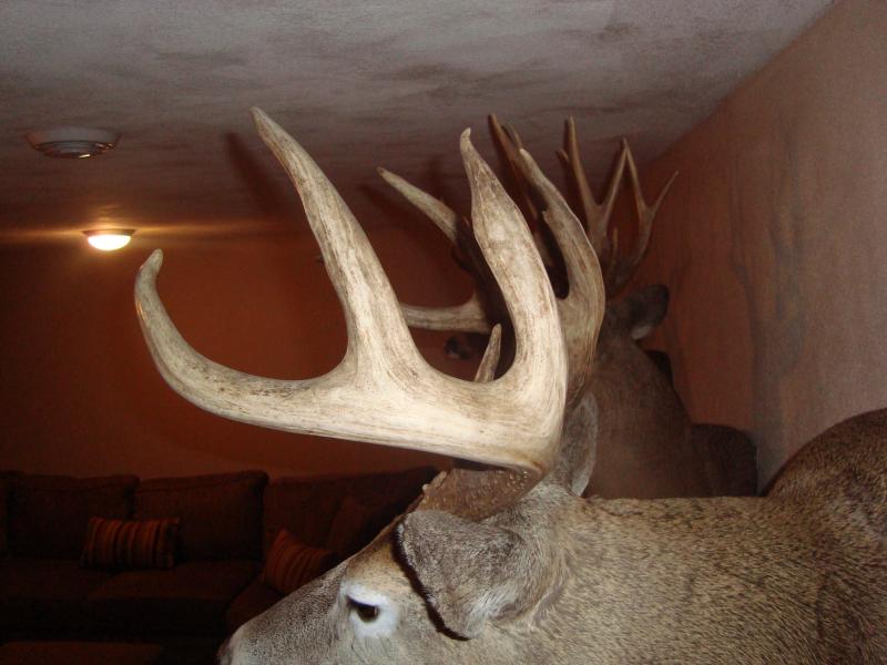 Left view