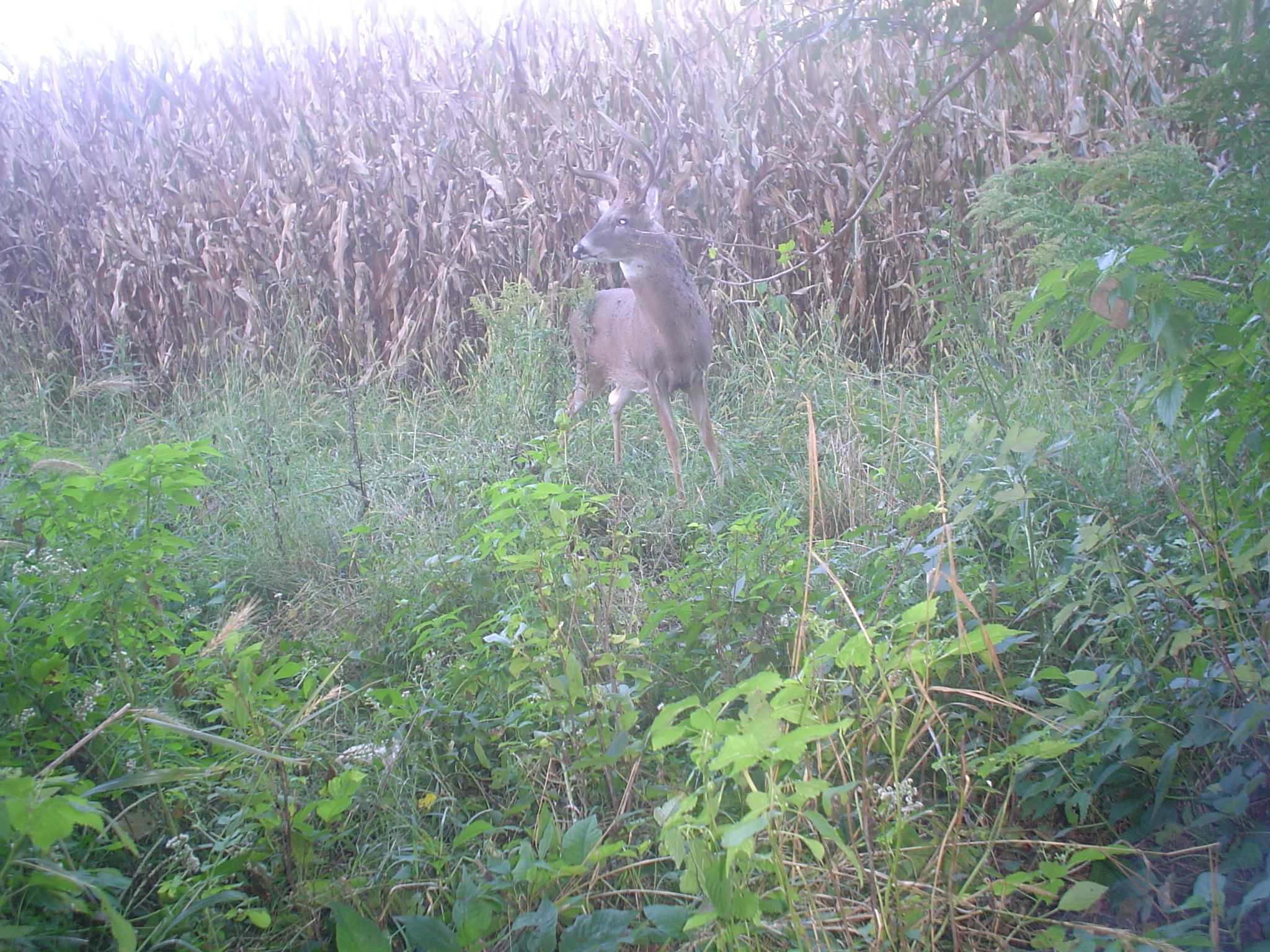 loess hills 2010 007