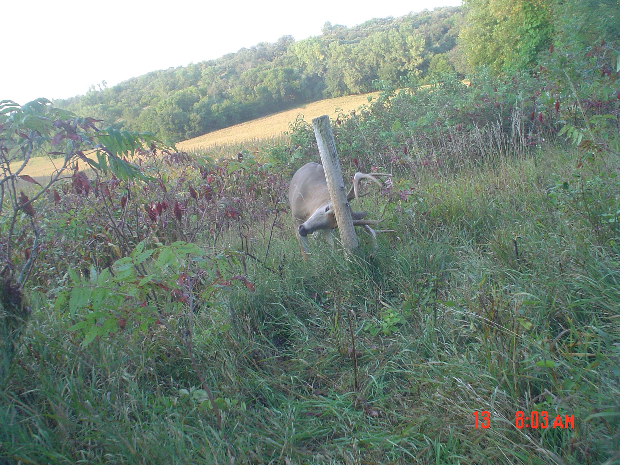 loess hills 2011 054