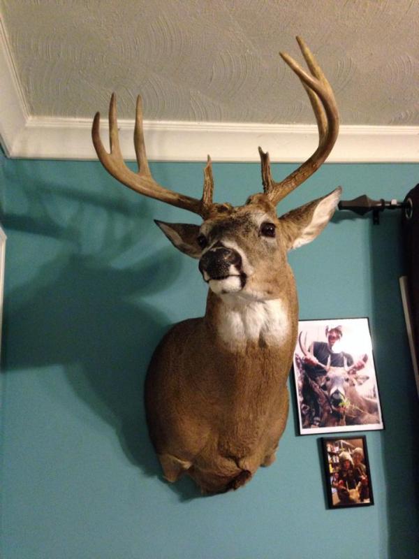 looks great on the wall