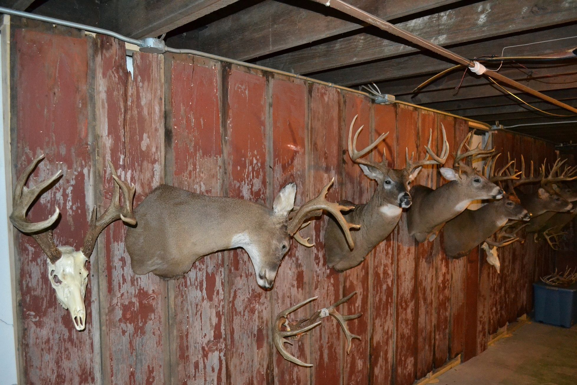 Man Cave
