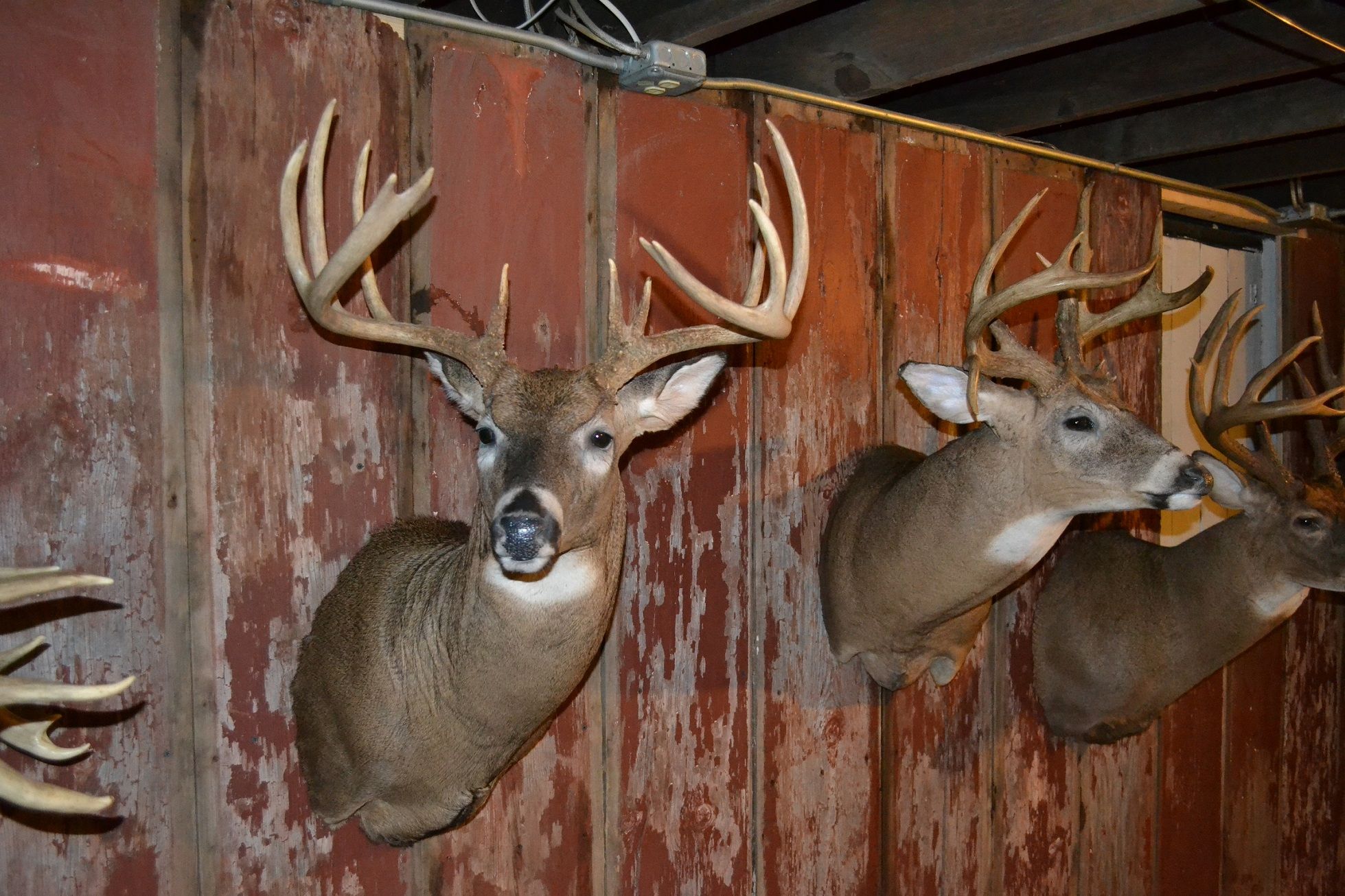 Mancave