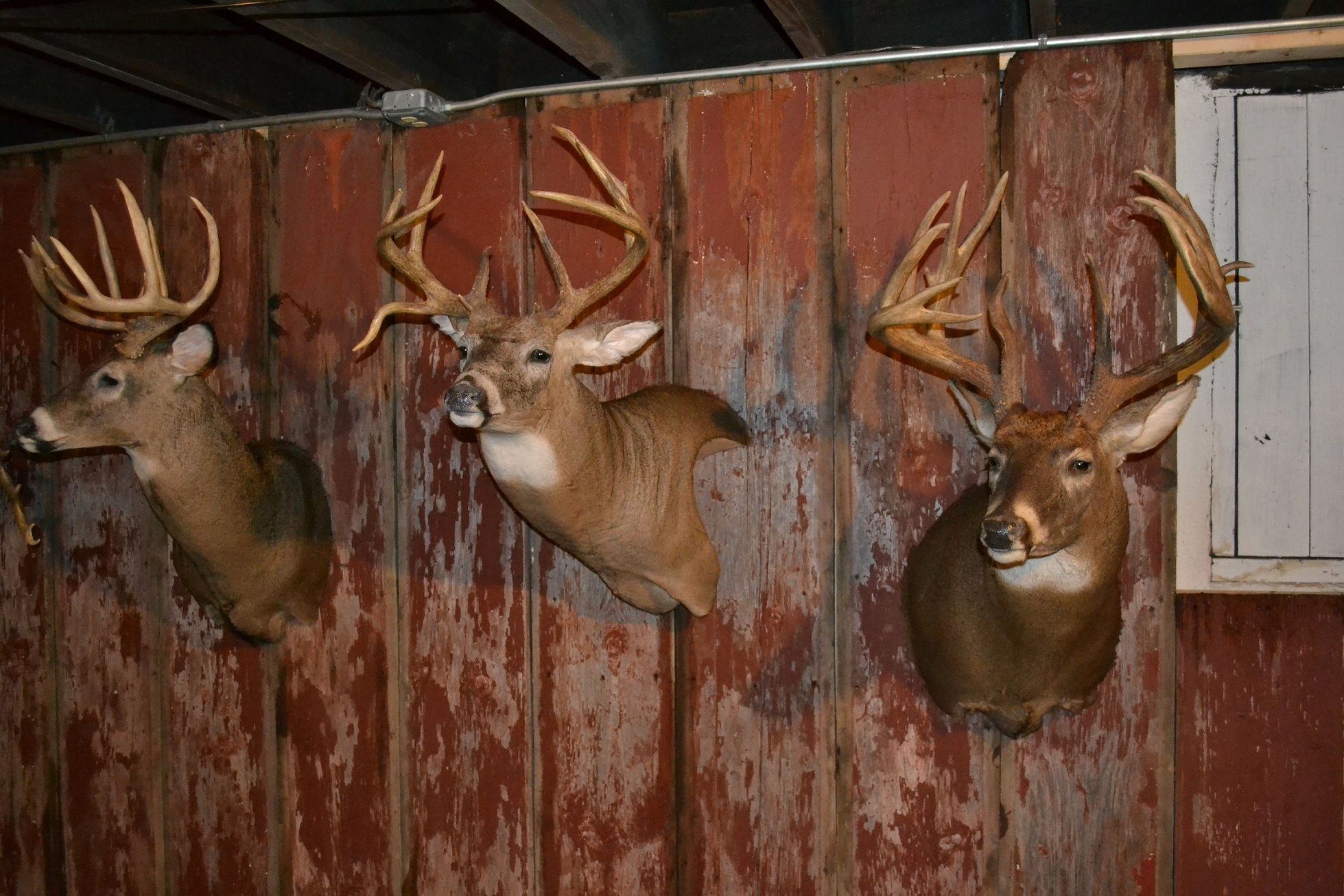 Mancave