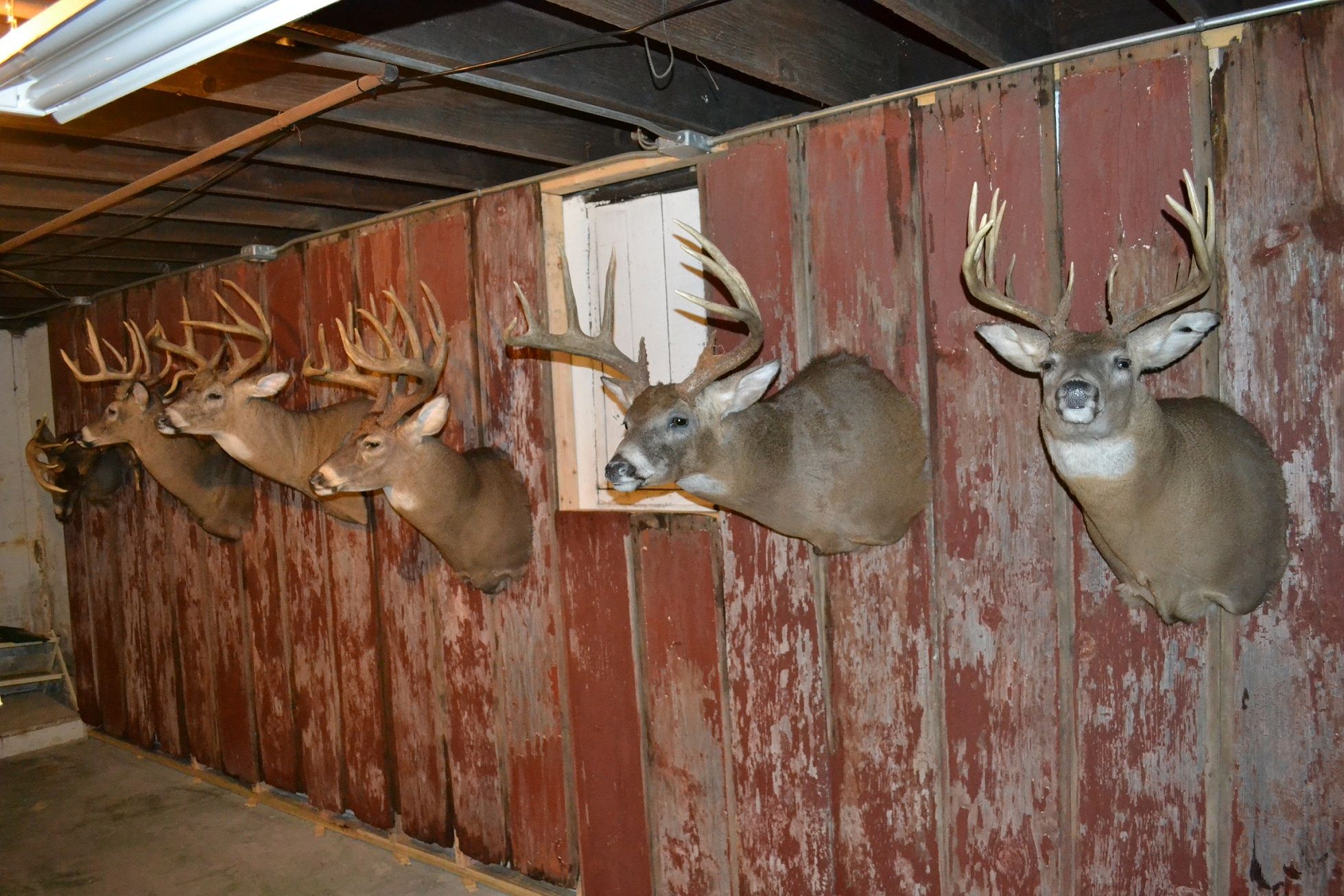 Mancave