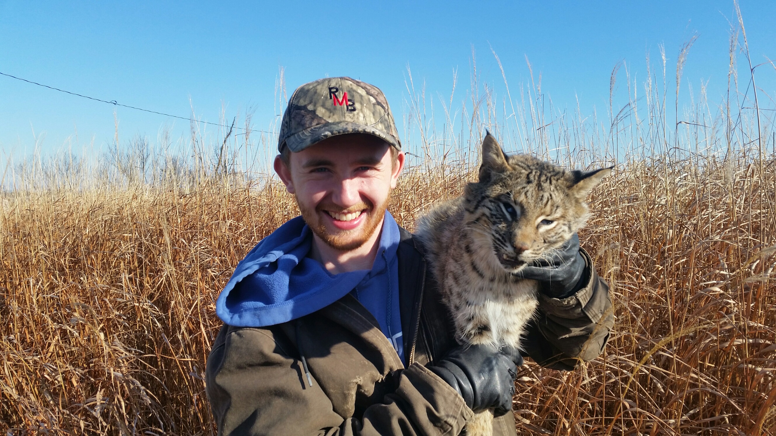 Mark Bobcat-2 2017