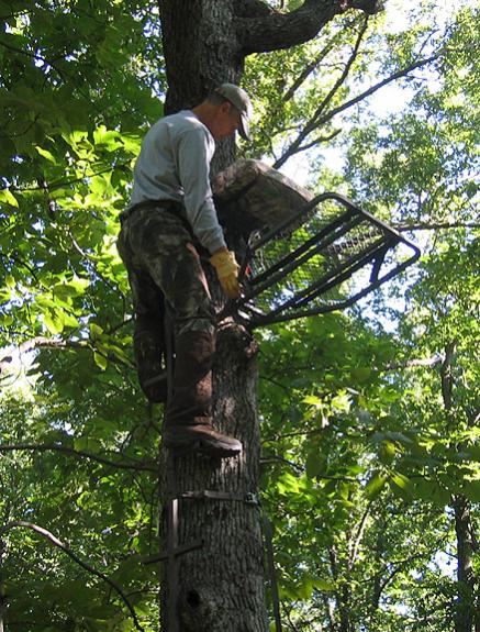 Mark checking stand