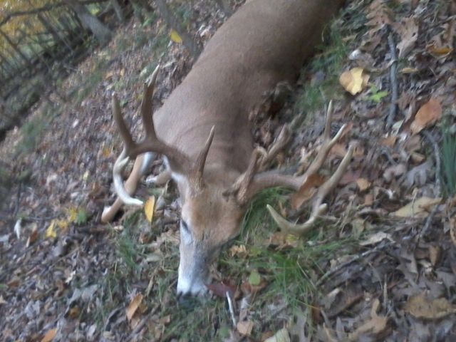 Mark's 2012 Archery Buck