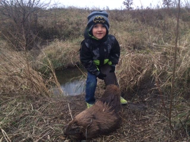 Mason's First Beaver