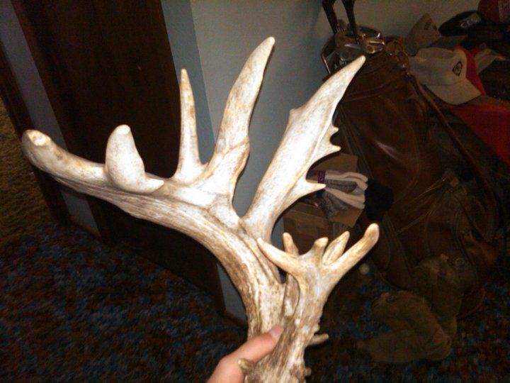 Massive Shed From 2010