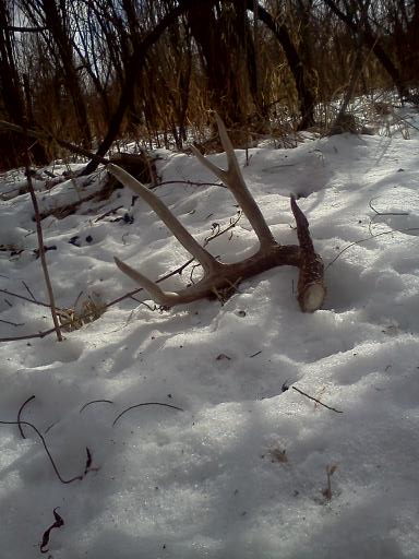 Match to first shed