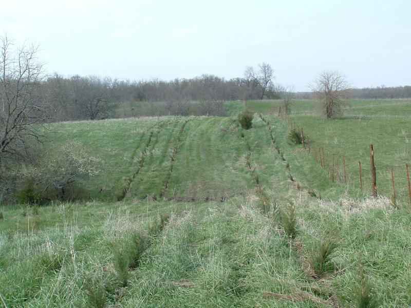 May 2008 a