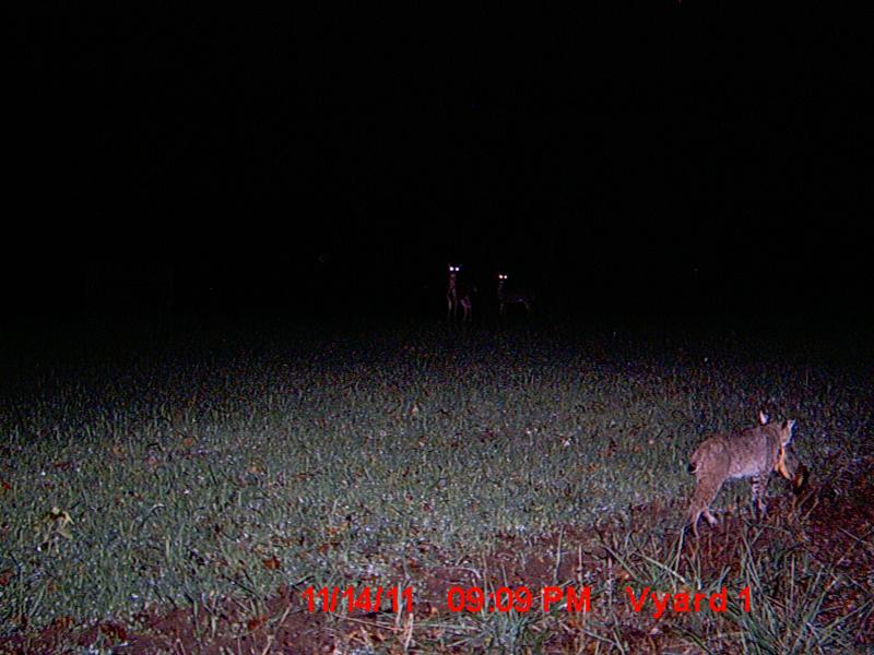 MDGC0005