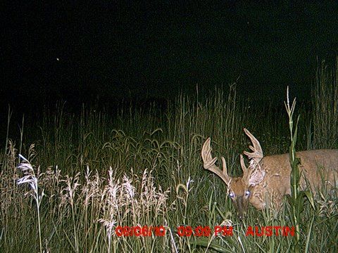 MDGC0007