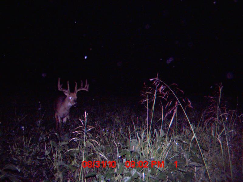 MDGC0013