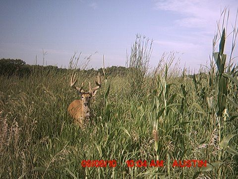MDGC0024