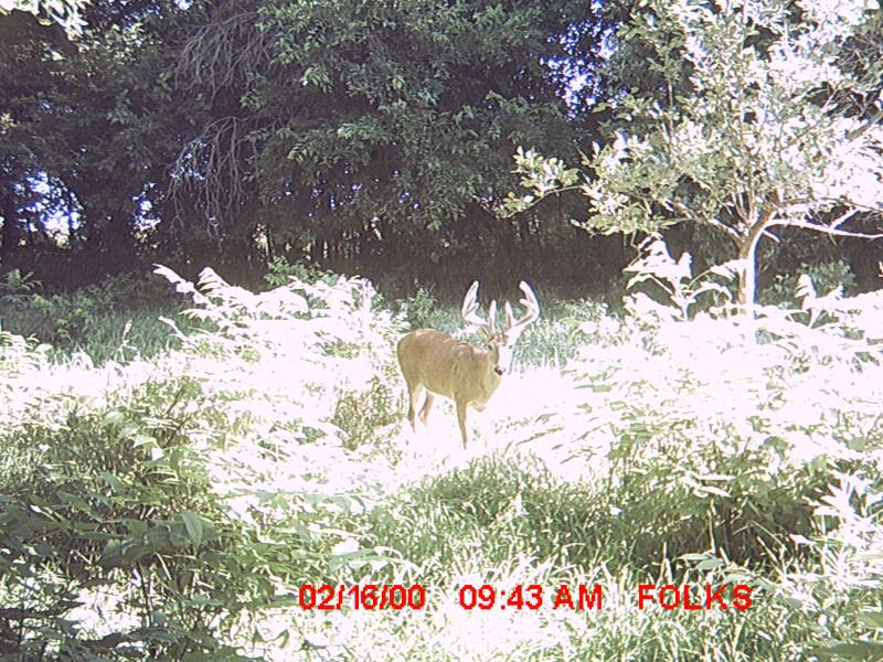 MDGC0098
