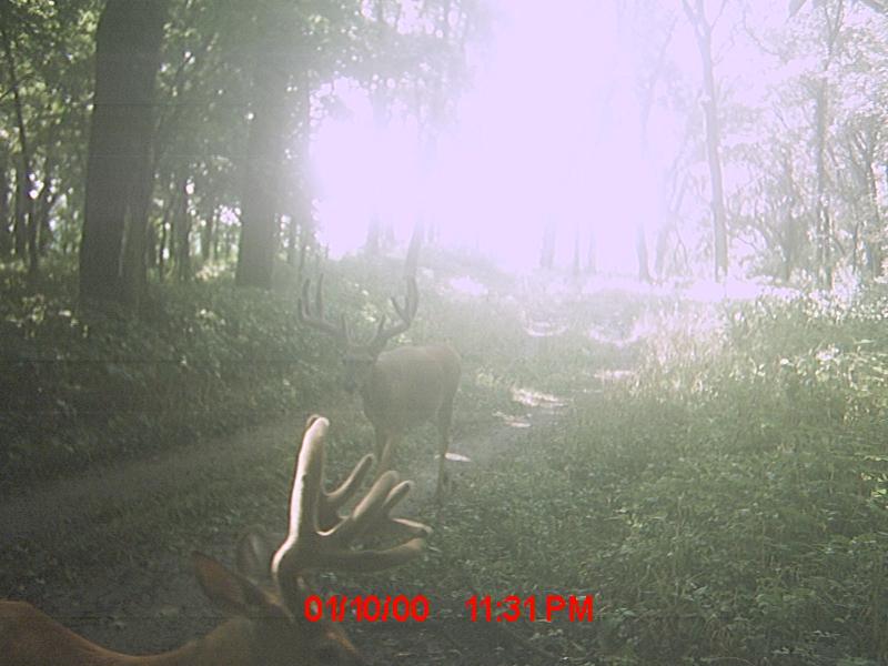 MDGC0161