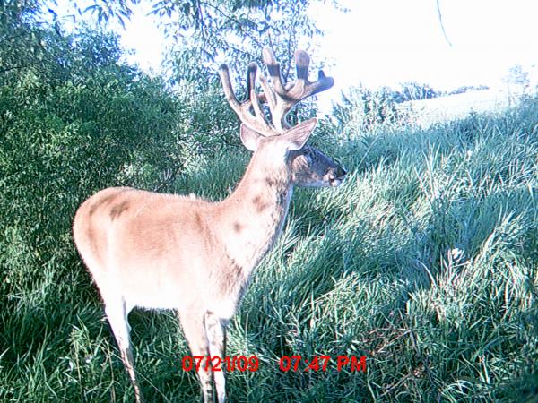 MDGC1078