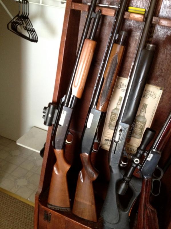 Moss burg 20 gauge slug gun. Winchester 1200. Remington sportsman 58 auto. And Winchester lever action 22