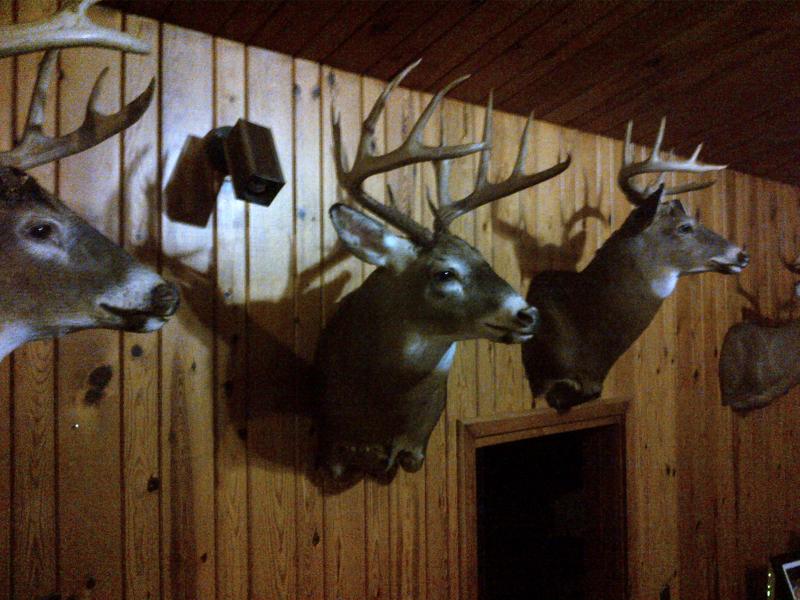 Mount1