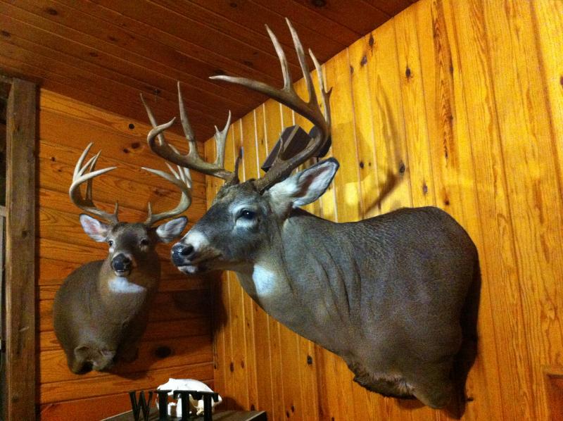 Mount2