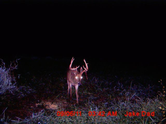 Mouttrie Camera. 9 04 2011 068