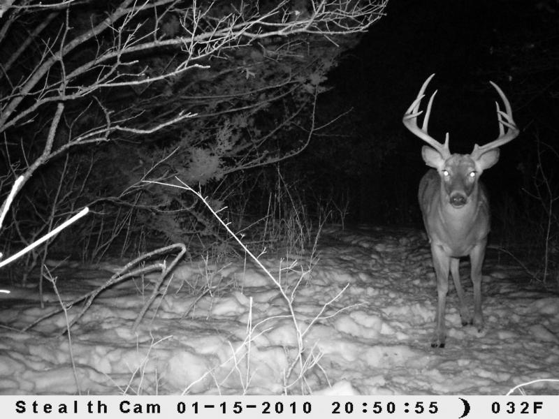 Mr. Big 4 1/2